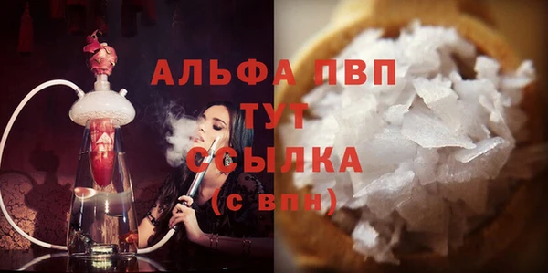 PSILOCYBIN Навашино