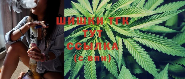 PSILOCYBIN Навашино