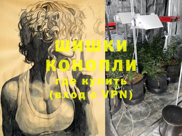 PSILOCYBIN Навашино
