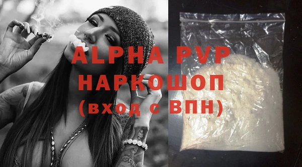 PSILOCYBIN Навашино