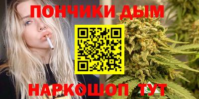 МДПВ Дубна