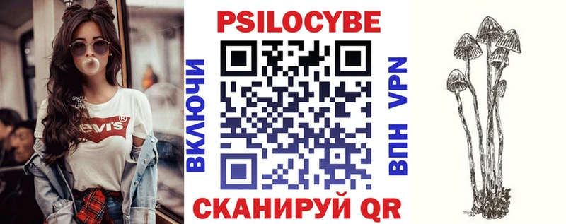 купить   Лесозаводск  Псилоцибиновые грибы Psilocybe 