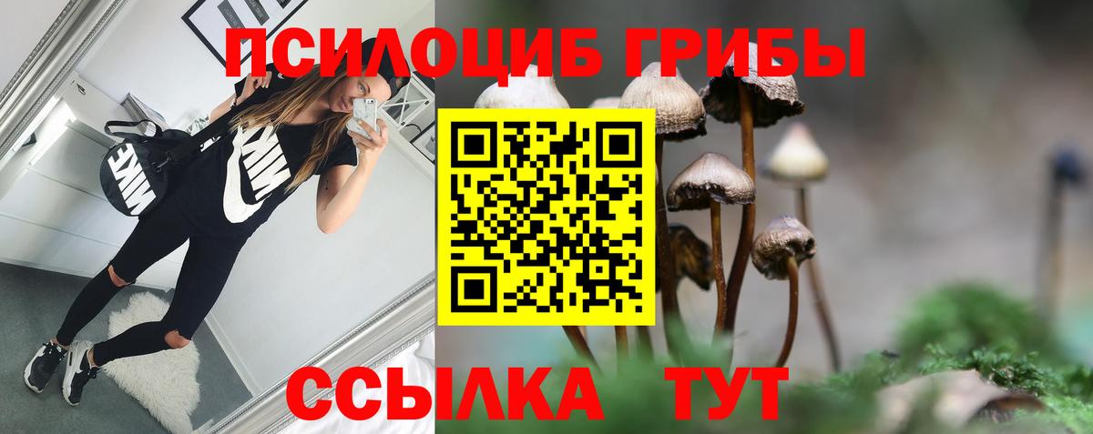 Галлюциногенные грибы мухоморы  Галлюциногенные грибы Psilocybine cubensis  Лесозаводск  Вход с VPN 